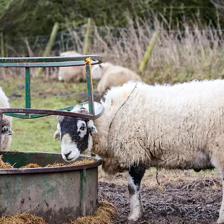The Homestead Holiday home