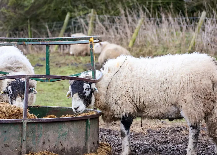 The Homestead Casa vacanze